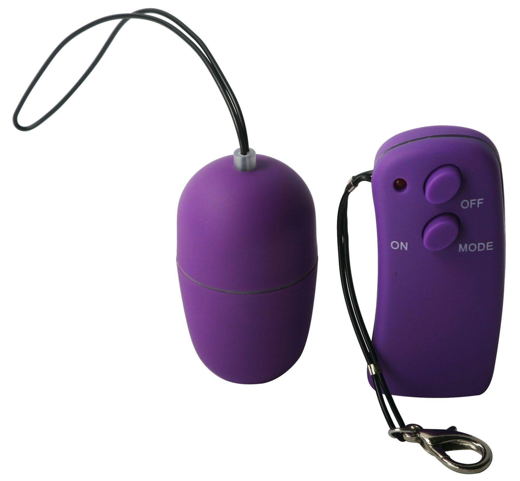 The Purple Seven-Function Remote Control Egg