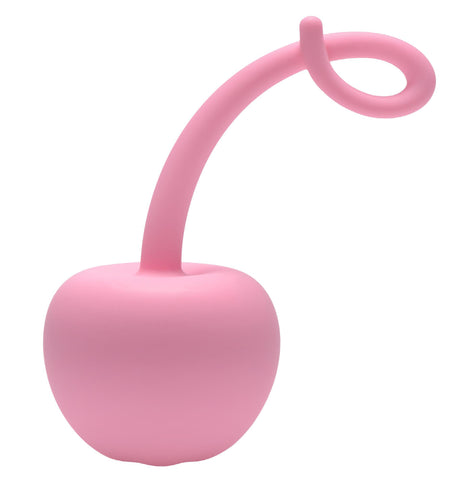 Pig Tail Silicone Anal Plug