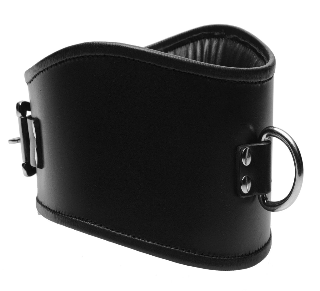 Padded Leather Locking Posture Collar